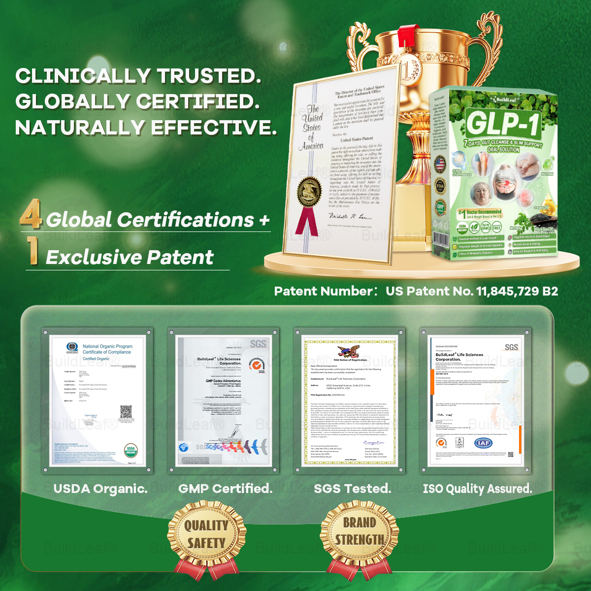 Congratulations! You have unlocked an exclusive BuildLeafยฎ offer! As a thank you for your order, we're offering an additional 30% off today! Click below to grab this special offer, offer expires!